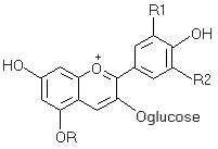 anthocyane.gif (2006 octets)